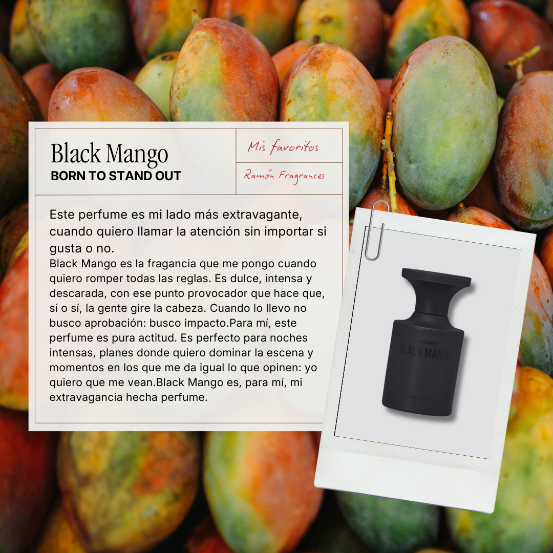 Kit de Muestras x Ramón Fragrance