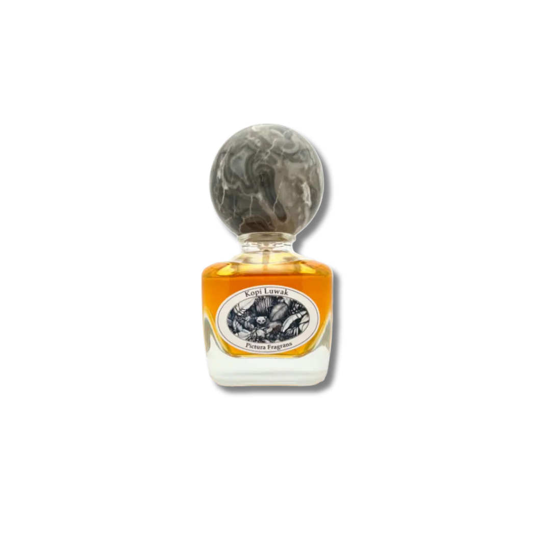 Pictura Fragrans - Kopi Luwak